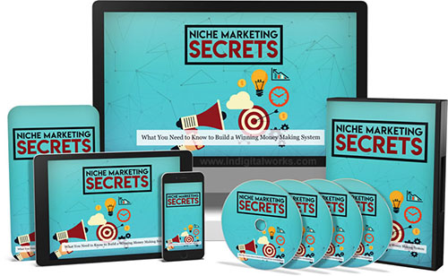 niche marketing secrets video