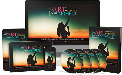 art living moment video