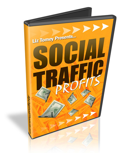 social traffic profits