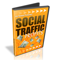 social traffic profits