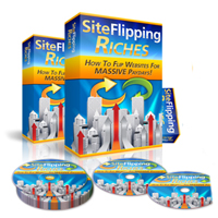 site flipping riches