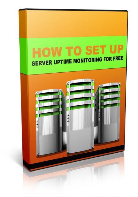 set up server uptime monitoring