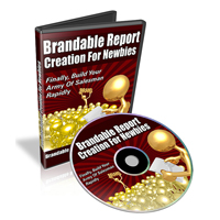 brandable report creation newbies