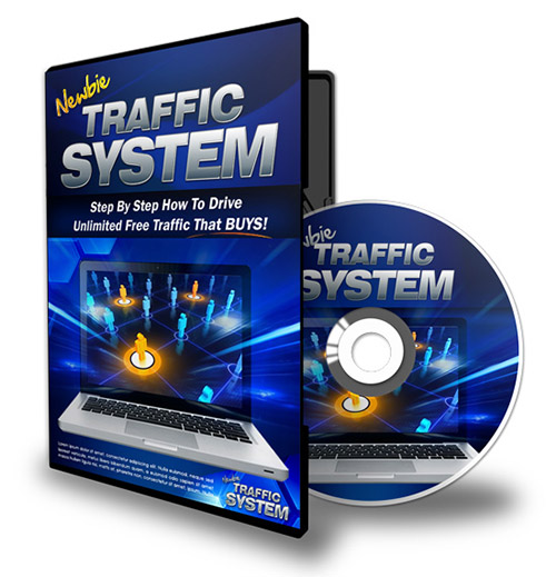 newbie traffic system