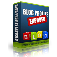 blog profits exposed