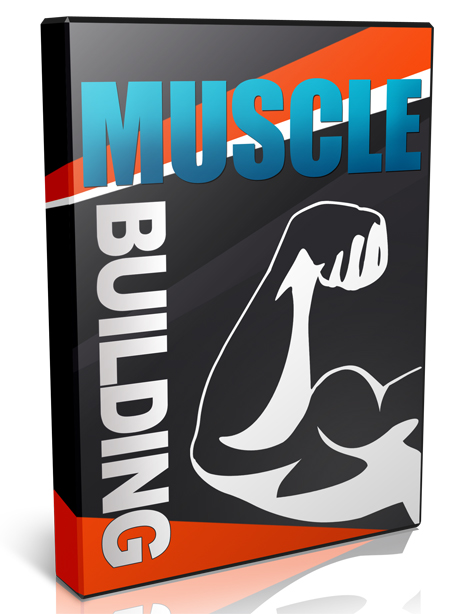 muscle building video series