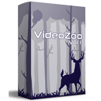 videozoo vol one