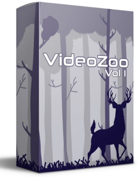 videozoo vol one