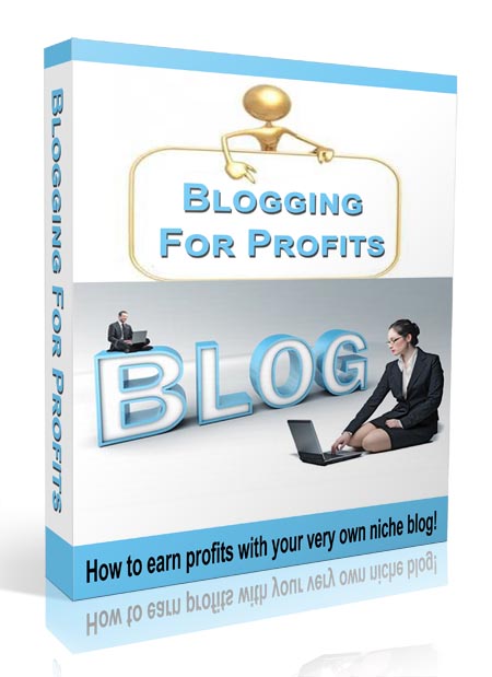 blogging profits