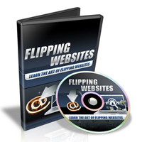 flipping websites