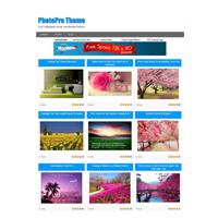photopro wordpress theme