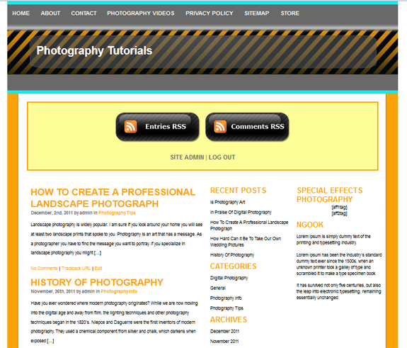 wordpress theme web20 v1